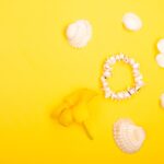 Reddybook Review: How the Innovative Platform Transforms Learning and Entertainment with 11xplay Integration